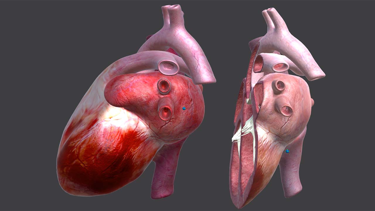 1672998987367669.jpg 1.jpg