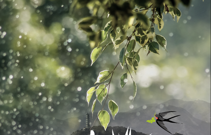 1680753989133058.png 7090BC19-6A3A-47be-B5B7-A466B83DE717.png